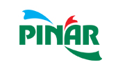 Pinar